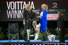 Receiving the #1 TOP DOG all breed trophy