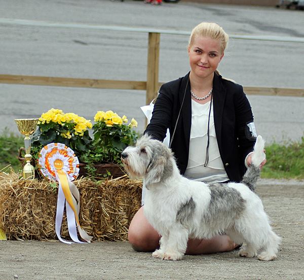 Ricky BEST IN SHOW 3