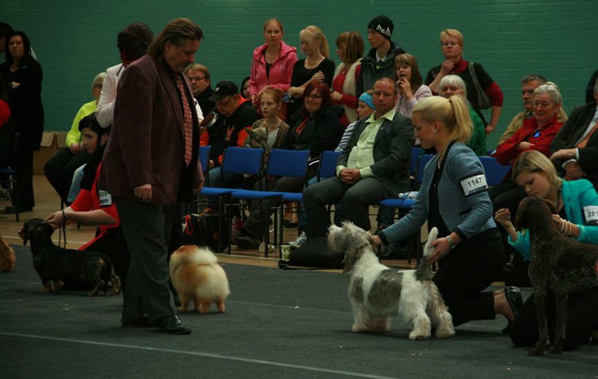 The BIS-judge and some of the group winners in the Best In Show