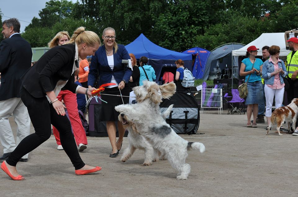 OONA-BOB-2013-Jari-Kunnari